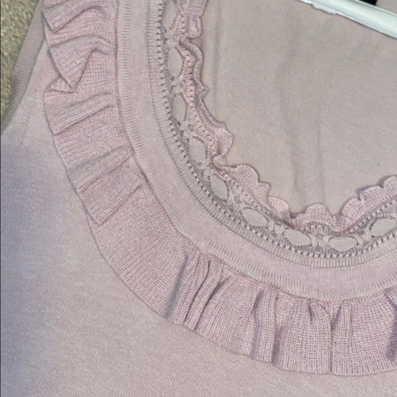 BCBG Stunning Delicate Pink Knit Top - Picture 5 of 6